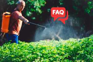 Những câu hỏi thường gặp khi diệt cỏ gây hại cho cây trồng