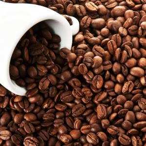 Thu hoạch, chế biến và bảo quản cà phê - Minh Ngọc