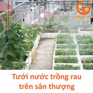 Tưới nước trồng rau sân thượng