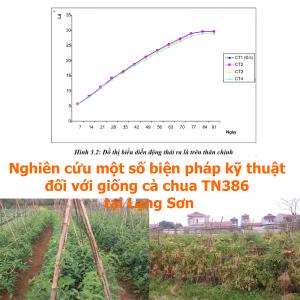 Nghiên cứu một số biện pháp kỹ thuật đối với giống cà chua TN386 tại Lạng Sơn