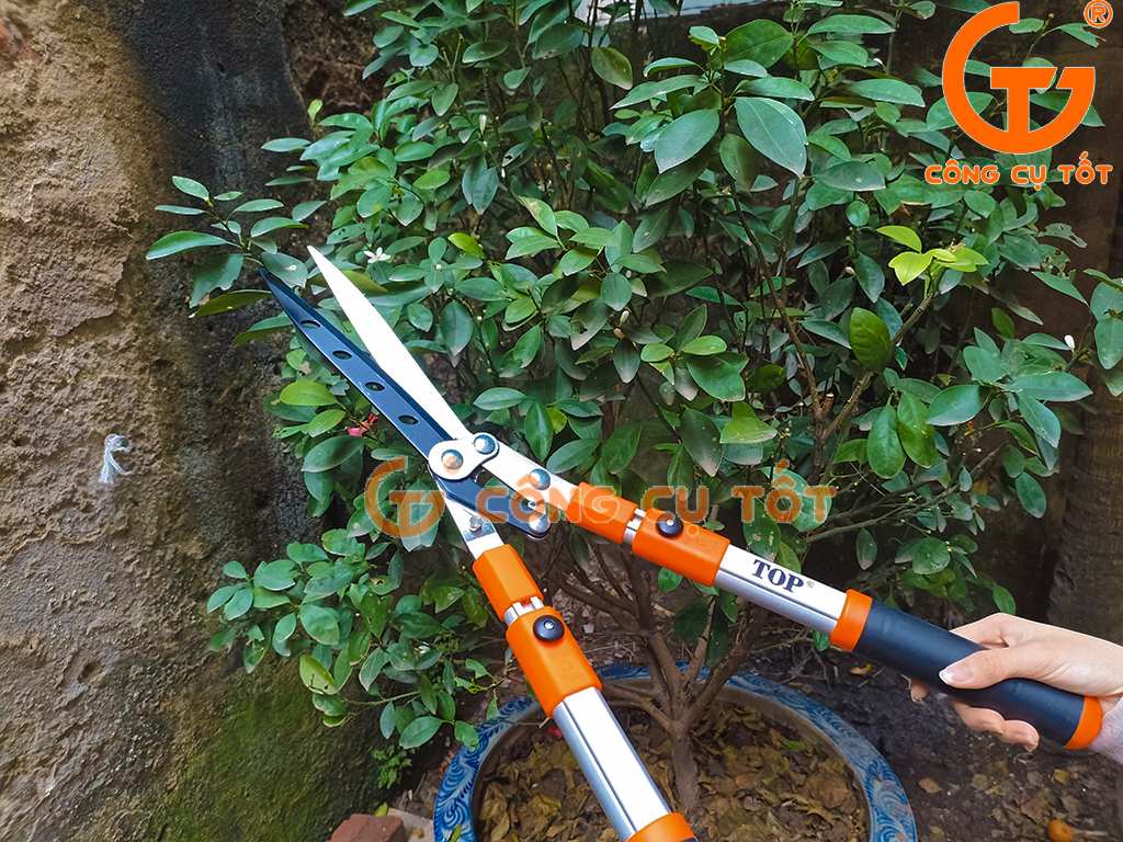 Sử dụng thực tế kéo cắt cỏ và tỉa dáng Đài Loan TOP TGH-06001VN
