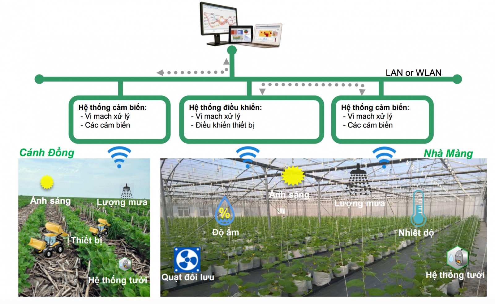 Các ứng dụng của IoT trong việc thu thập dữ liệu liên quan đến các loài thực vật.