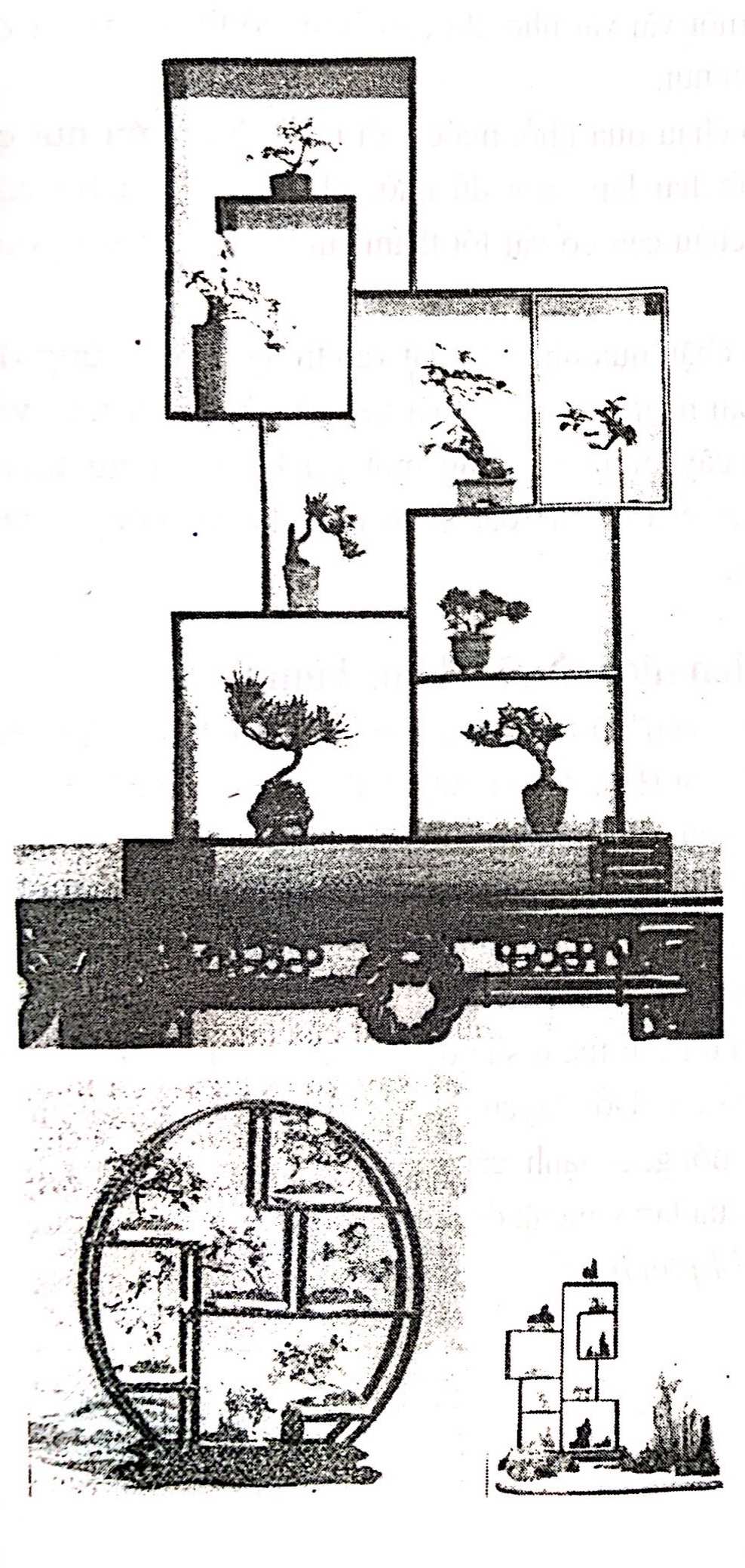 Bồn cảnh Thượng Hải - Nghệ thuật thưởng thức bonsai - Trần Hợp