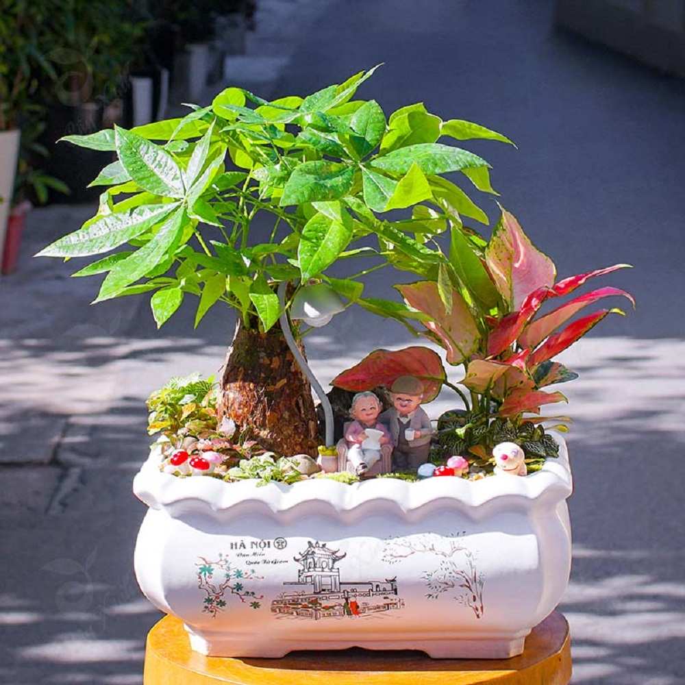 Đặt bãi kiện (Vật trang trí nhỏ phụ hoặc chính) trong bonsai