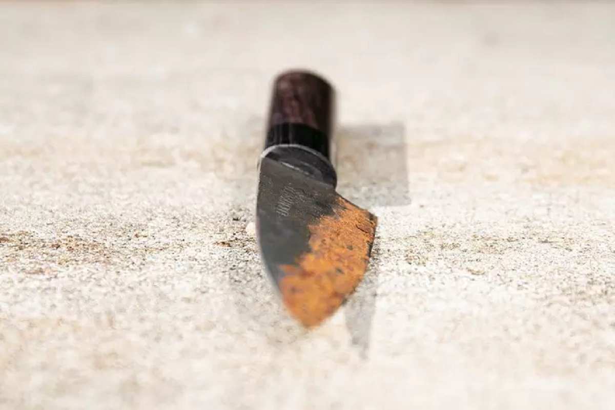 Một con dao tiện ích Eden Kanso Aogami được làm từ thép carbon với lưỡi dao khá rỉ sét