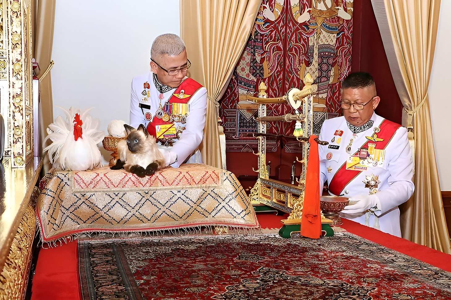 Mèo Xiêm trong lễ đăng cơ của vua Thái