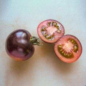 Cà chua đen hữu cơ indigo rose