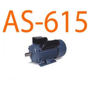 Motor điện 750W/220V Asaki AS-615