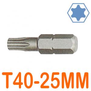 Mũi bắt vít mũi hoa thị T40x25mm LICOTA