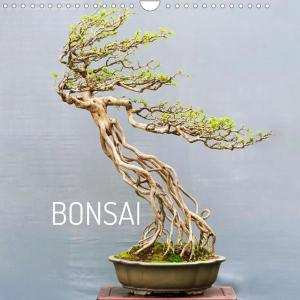 Hướng dẫn cắt tỉa Bonsai và những thế tạo hình Bonsai nghệ thuật