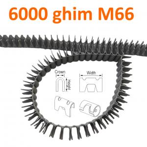 Đinh M66