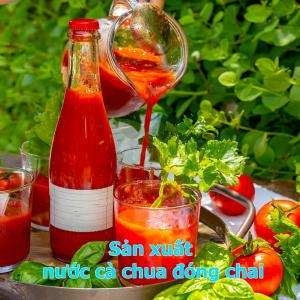 Sản xuất nước cà chua đóng chai - Giáo sư Đường Hồng Dật