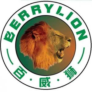 Lịch sử hình thành Berrylion - thương hiệu dụng cụ cầm tay hàng đầu thế giới
