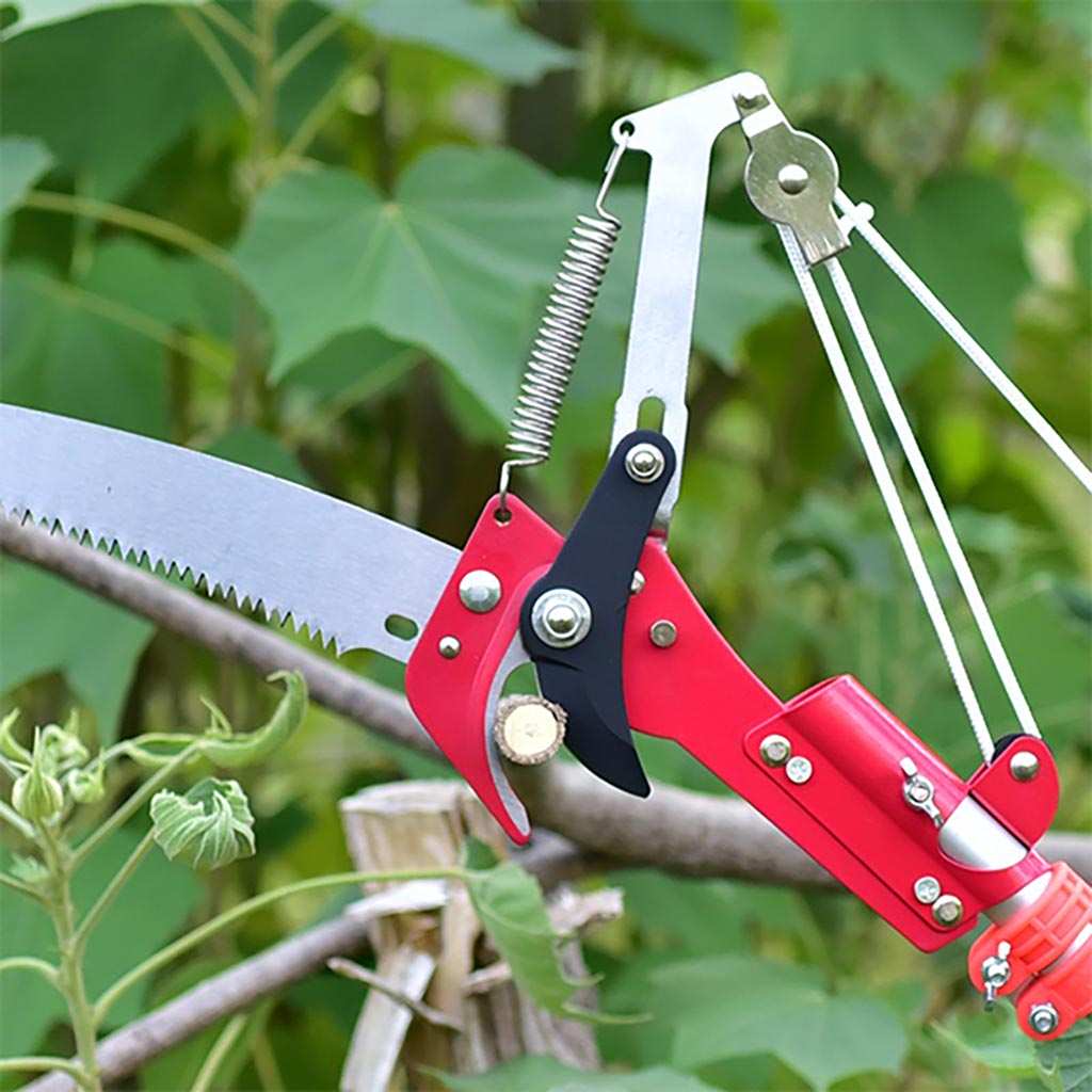 Có thể sử dụng kéo như những chiếc kéo làm vườn thông thường