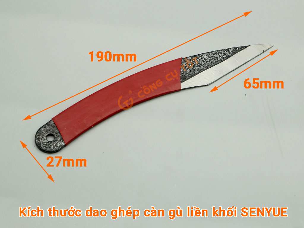 Kích thước dao ghép cán gù liền khối của SENYUE