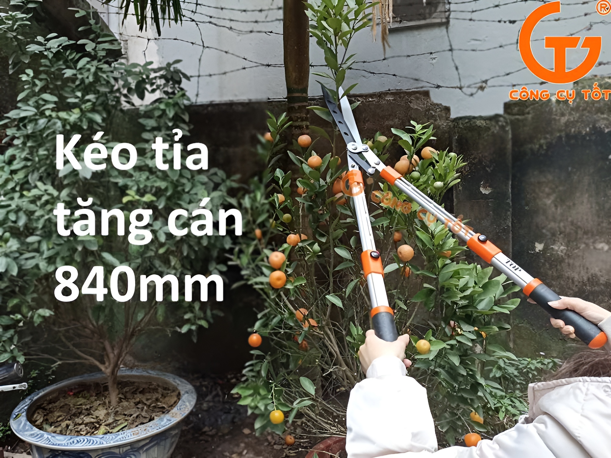 Hình ảnh 15 của mặt hàng Kéo cắt cỏ cao cấp cán cam đen TOP