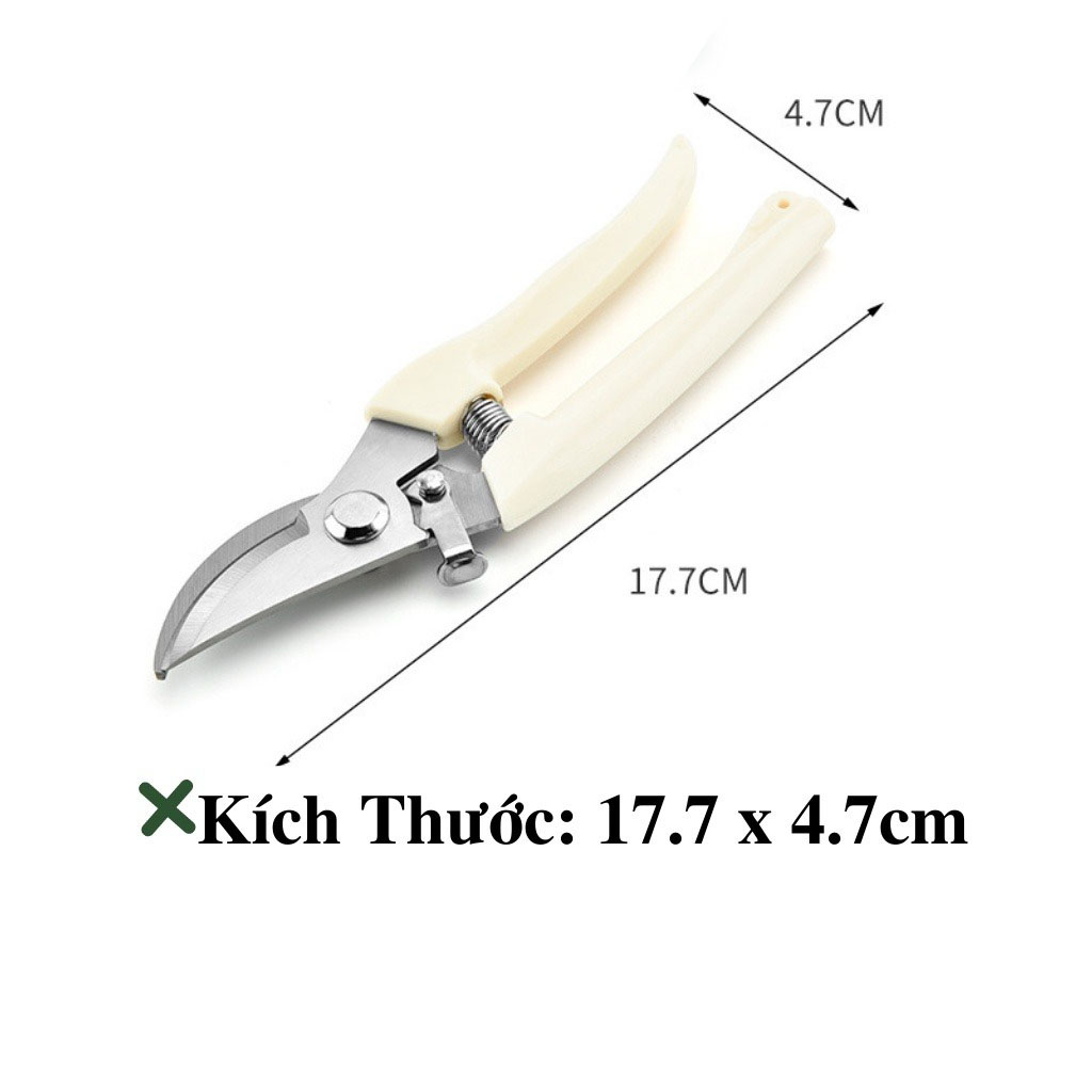 Hình ảnh 4 của mặt hàng Kéo cắt cành cán trắng mỏ cong 8" Wynns W133