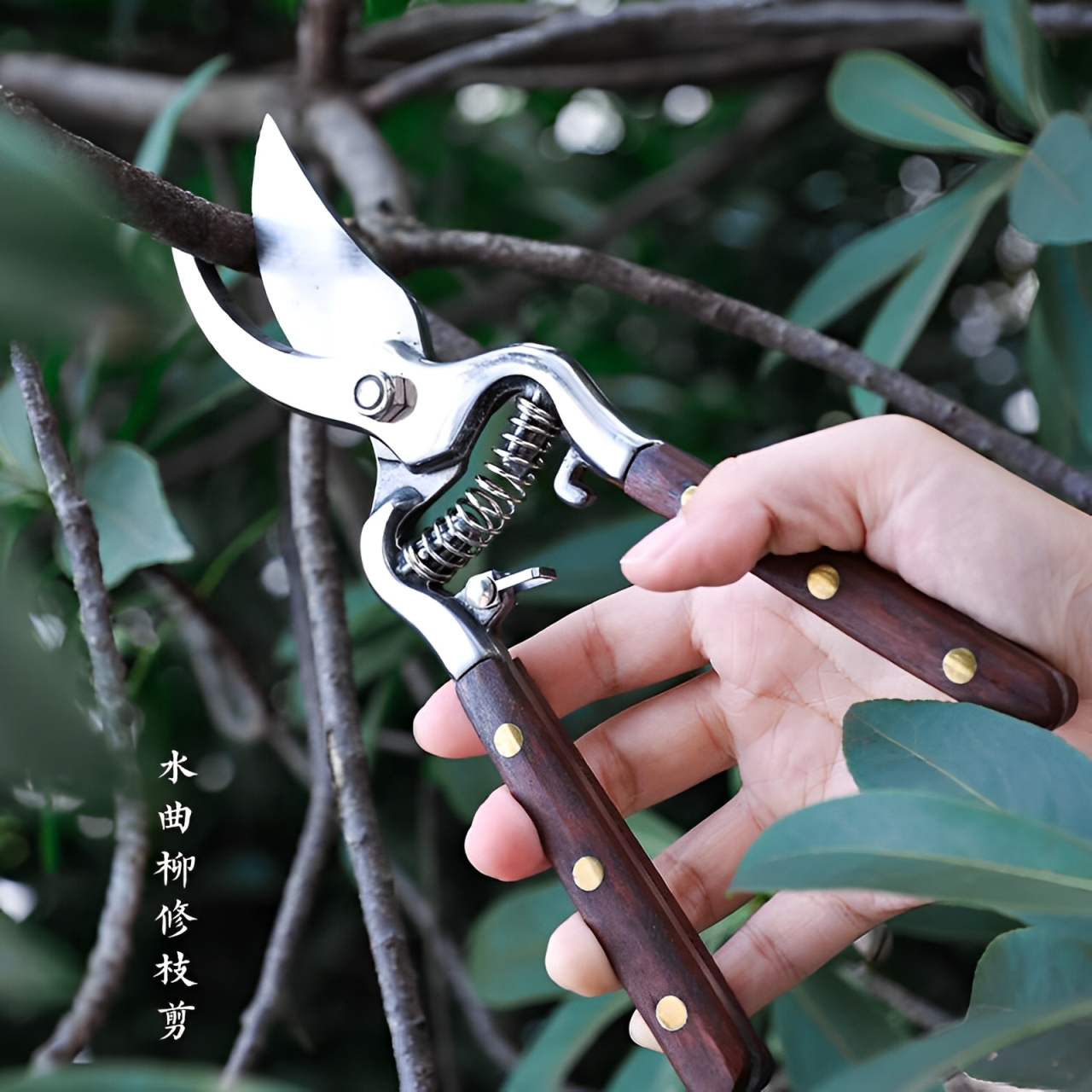 Hình ảnh 5 của mặt hàng Kéo cành cán gỗ Wynns W866