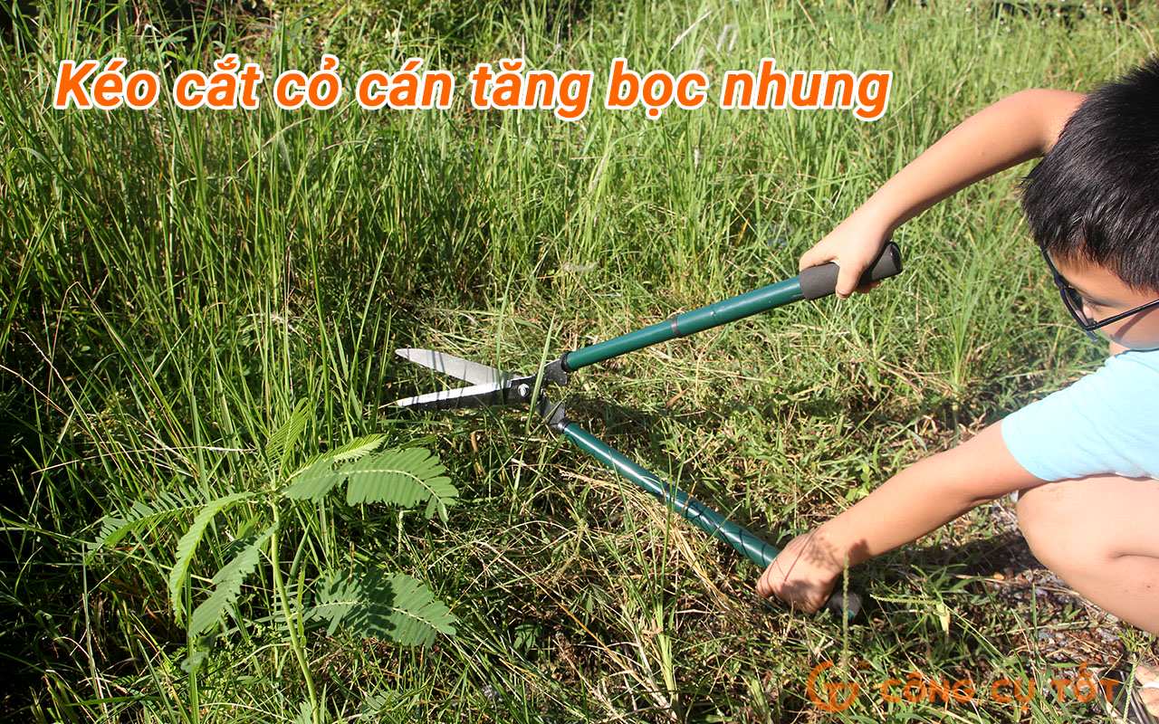 Hình ảnh 1 của mặt hàng Kéo cắt cỏ tăng đen thường