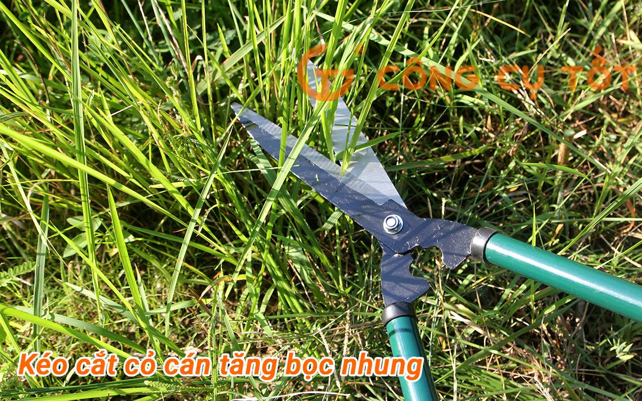 Hình ảnh 2 của mặt hàng Kéo cắt cỏ tăng đen thường