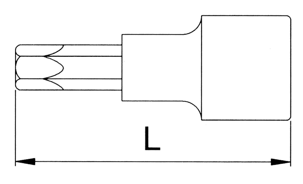 Hình ảnh 3 của mặt hàng Đầu típ LICOTA 1/2" Bông mai T25 CÓ LỖ