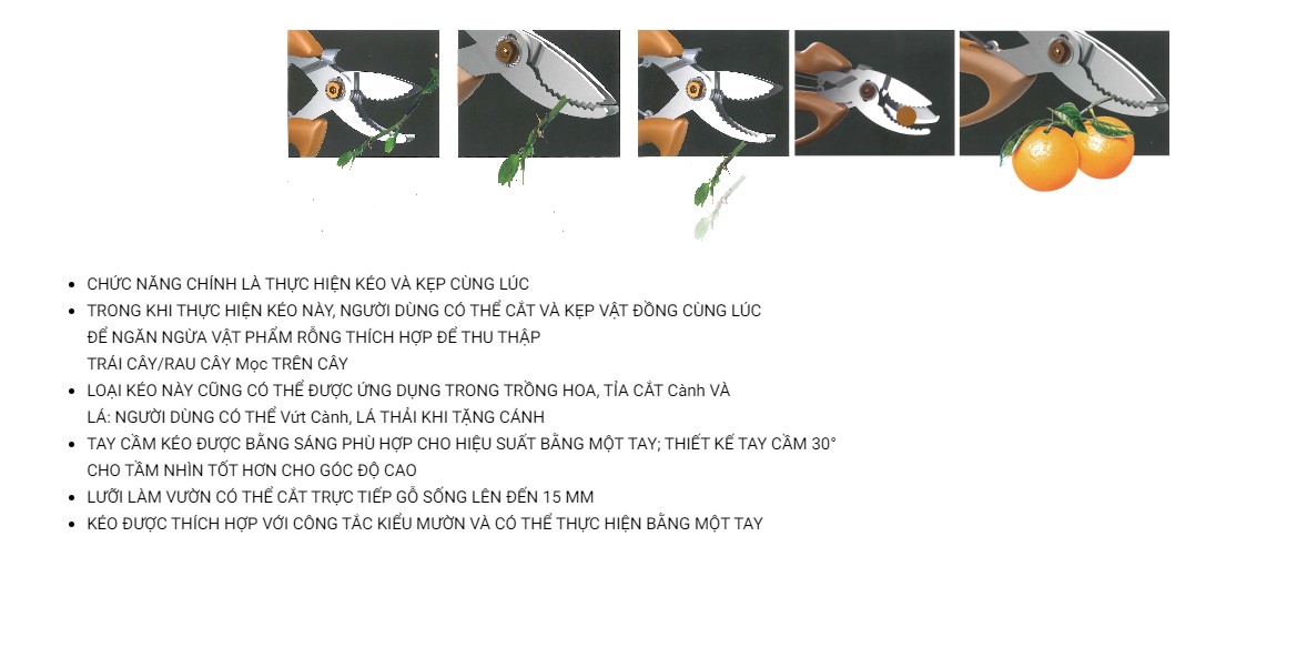 Hình ảnh 2 của mặt hàng Kéo cắt cành LICOTA TGP-00530