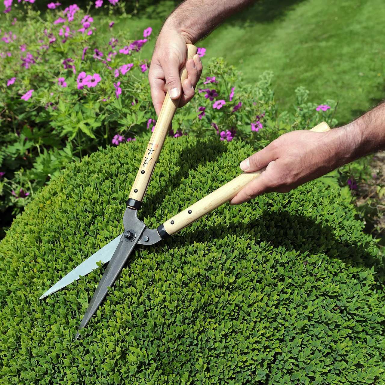 Hướng dẫn dùng kéo cắt cỏ và chăm sóc khu vườn như chuyên gia