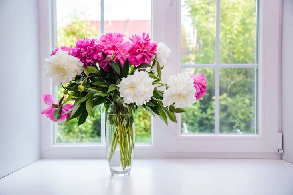 Lựa chọn vị trí đặt bình hoa phù hợp để hoa có đủ điều kiện phát triển và khỏe mạnh, tươi tắn