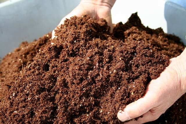 Sử dụng phân hữu cơ để cải tạo đất