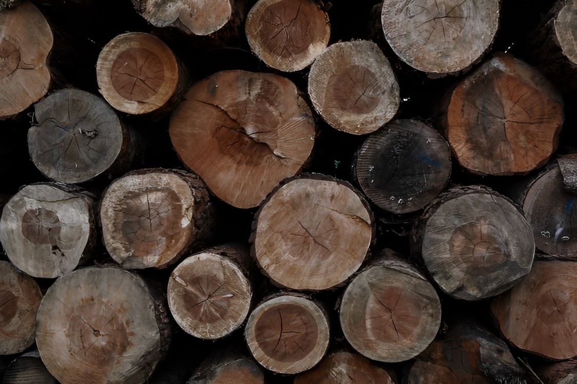 Cách lưu trữ gỗ