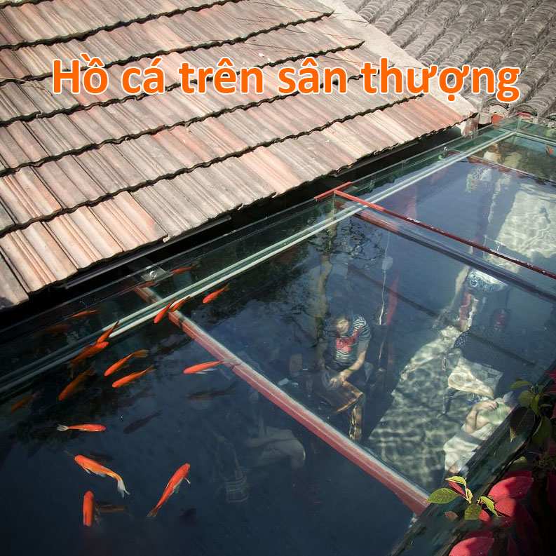 Phục lăn bố 8x với tài trồng rau nuôi gà cá phủ kín sân thượng 80m²