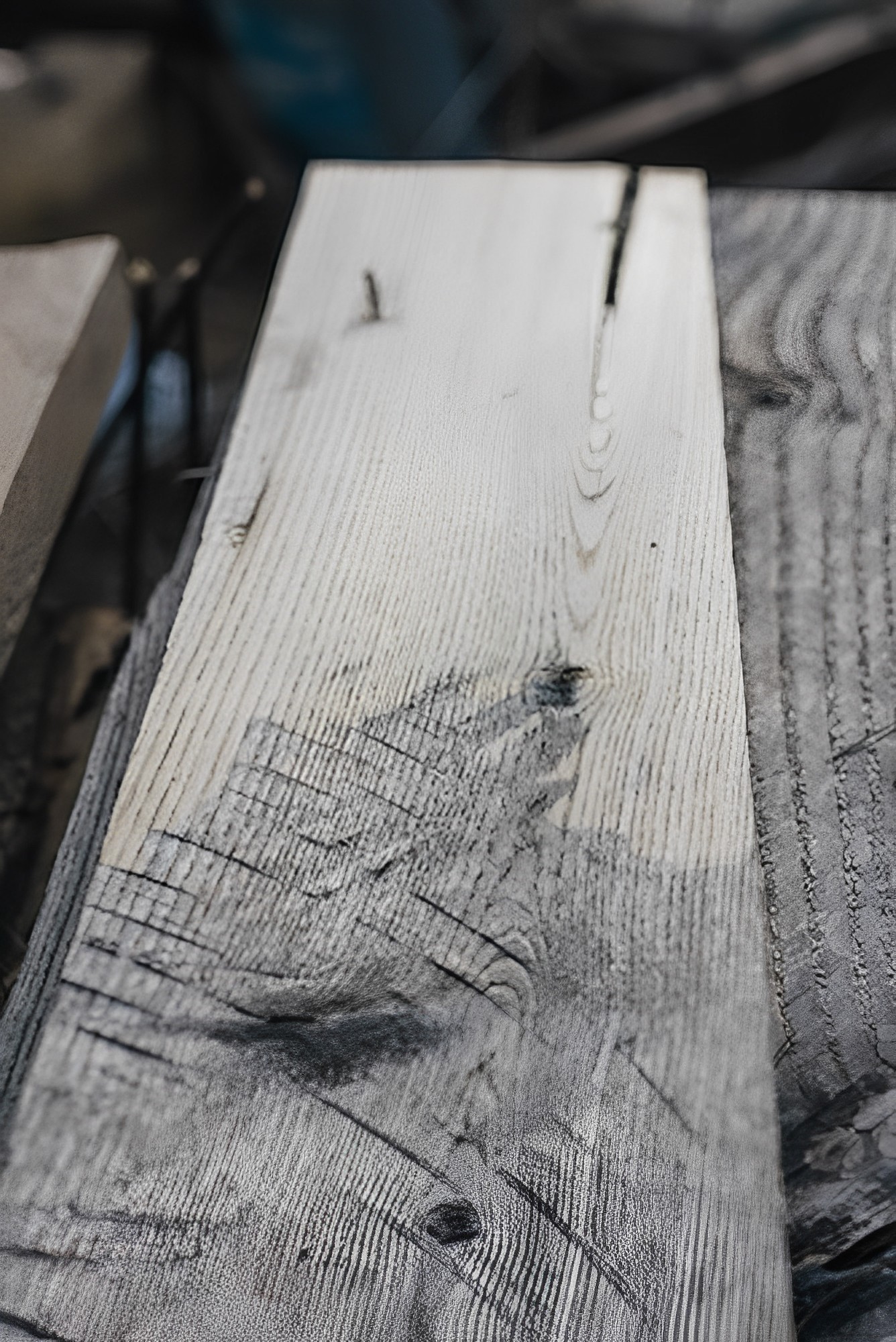 Tìm hiểu tính chất, đặc điểm của gỗ.