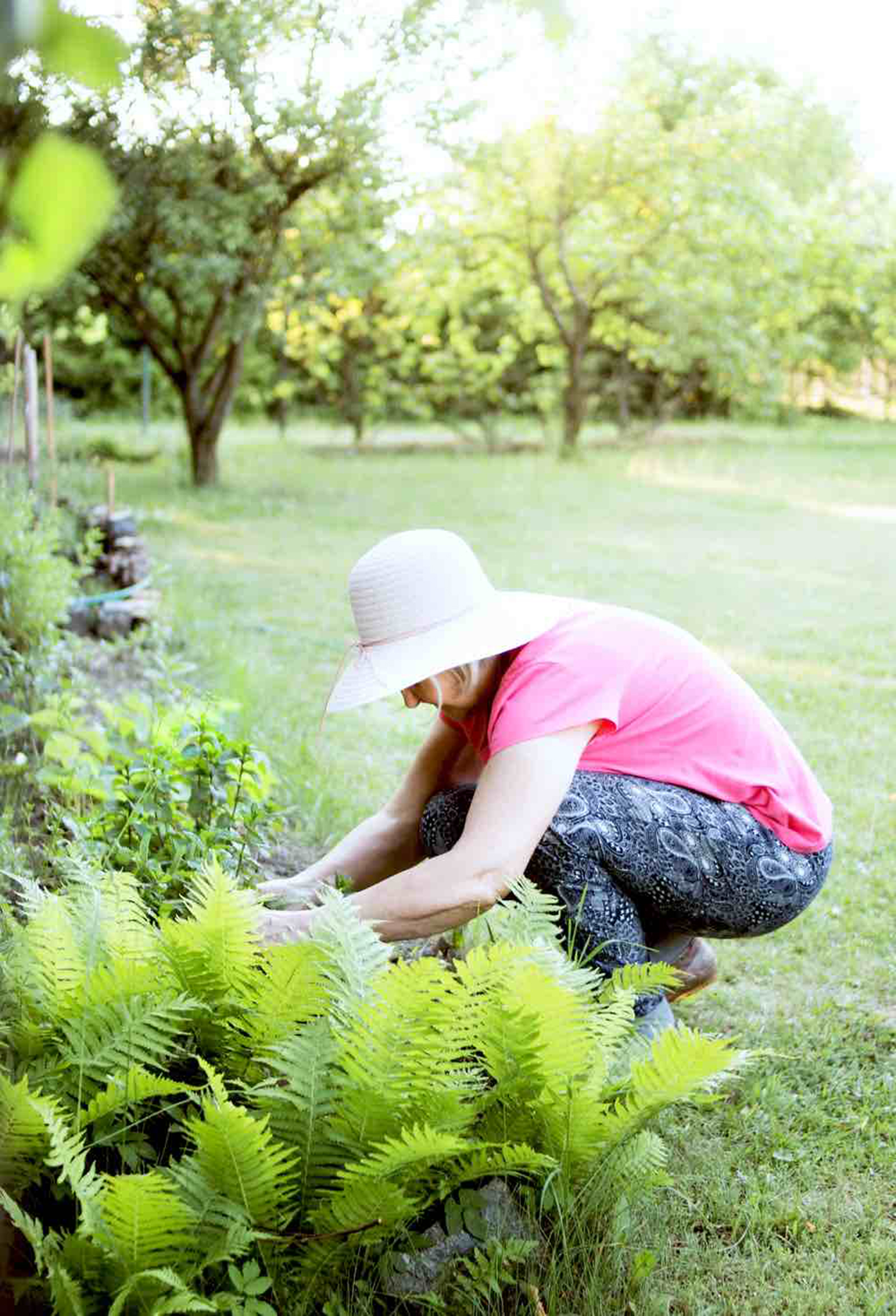 Biết điều cơ bản về làm vườn