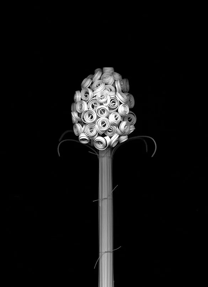 Một bông hoa làm từ dây kẽm vỏ nhựa trong bộ sưu tập “Blossfeldt's Apprentice”
