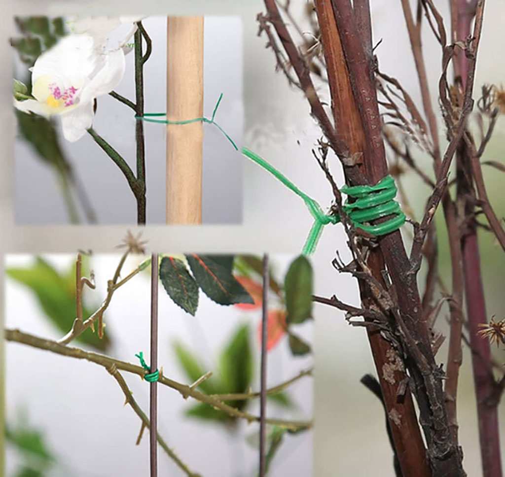 buộc cành hoa lan bằng dây kẽm vỏ nhựa
