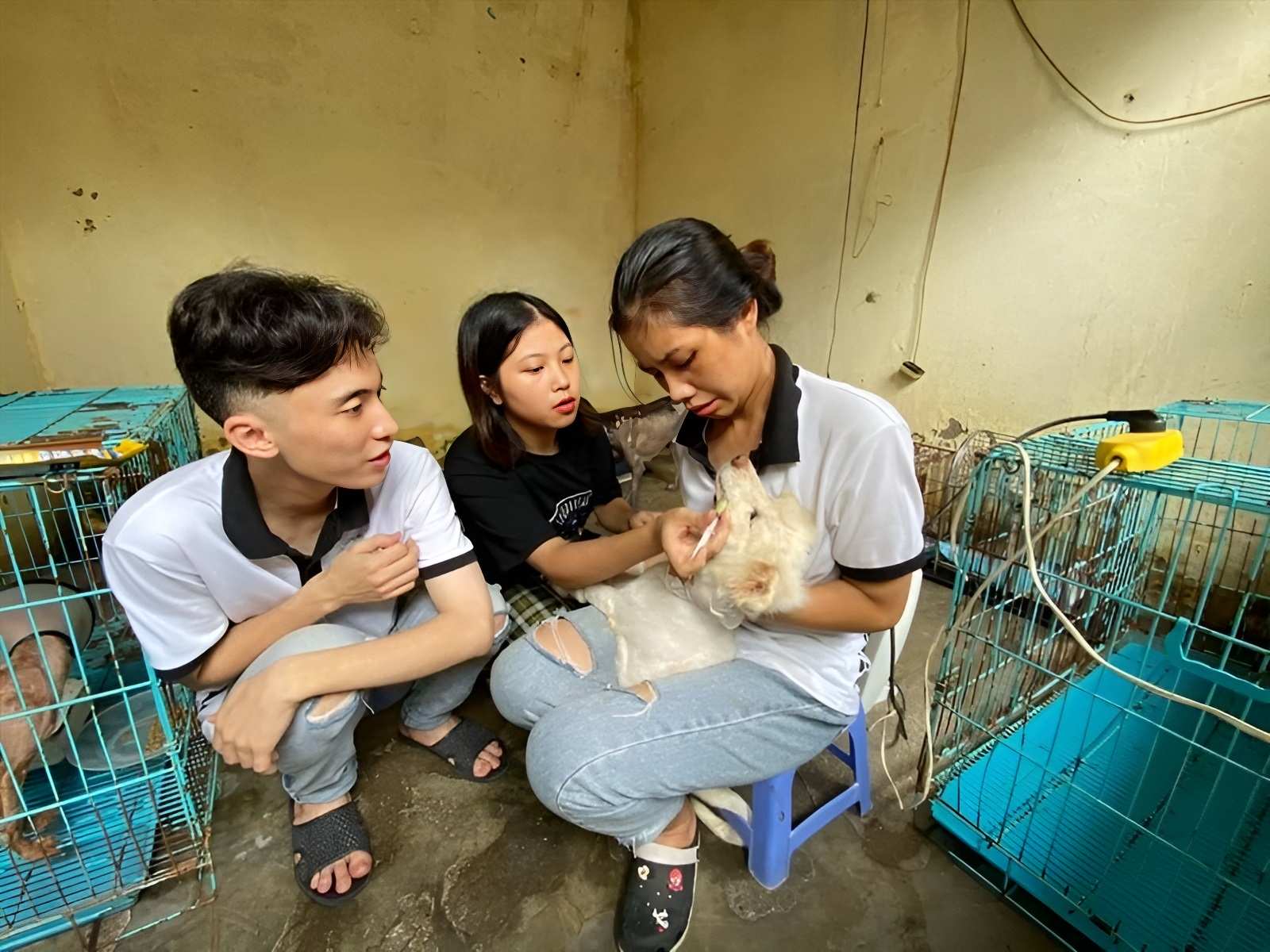 Chăm sóc thú cưng tại Trạm cứu hộ động vật Nông nghiệp Hà Nội