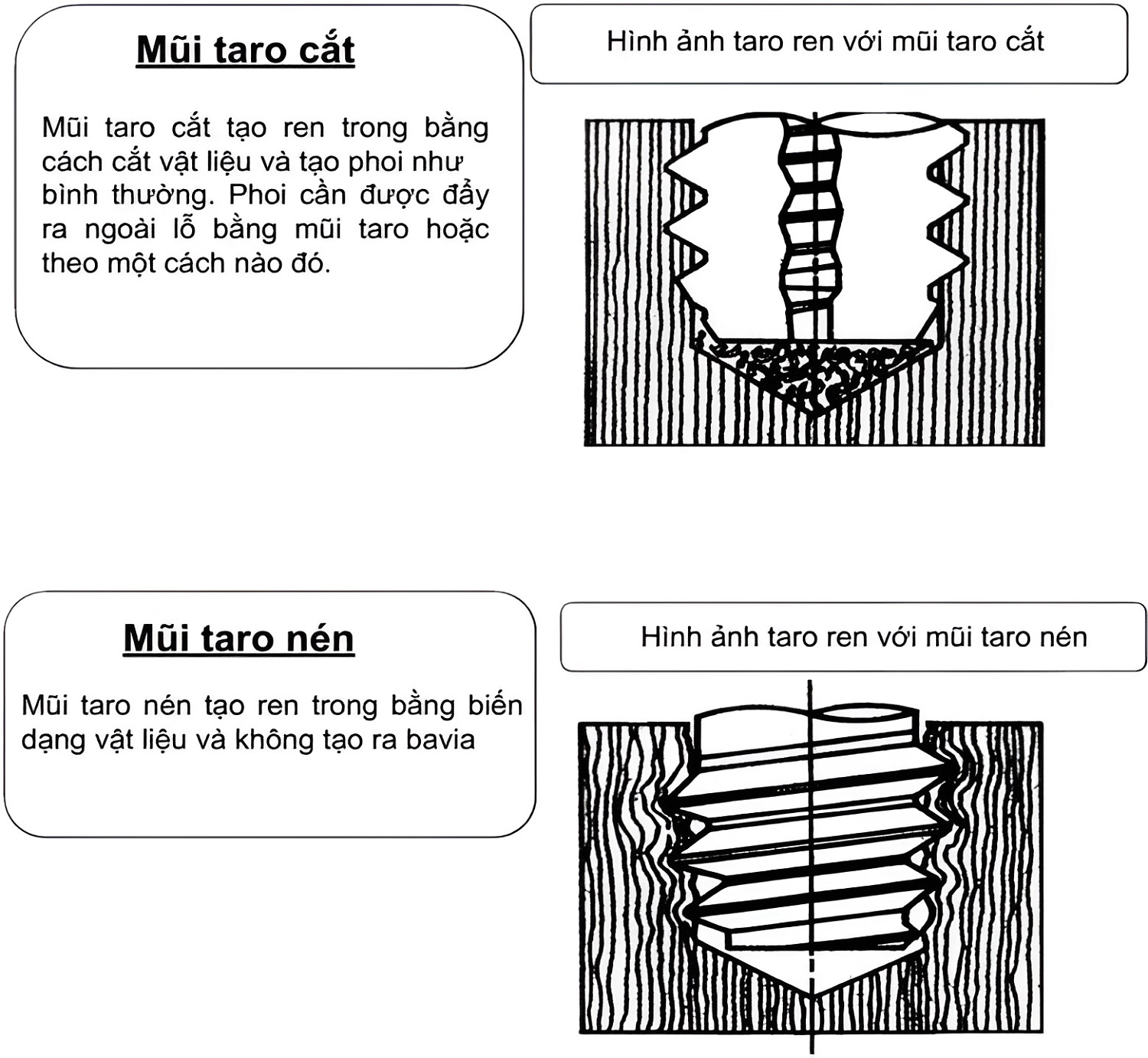 Hình ảnh tạo ren của mũi taro cắt và mũi taro nén