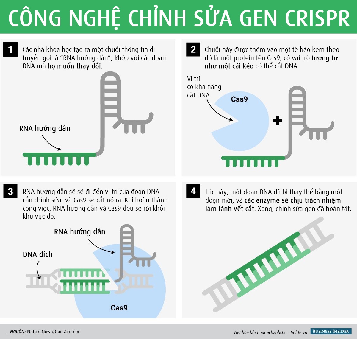 Kỹ thuật CRISPR-Cas9