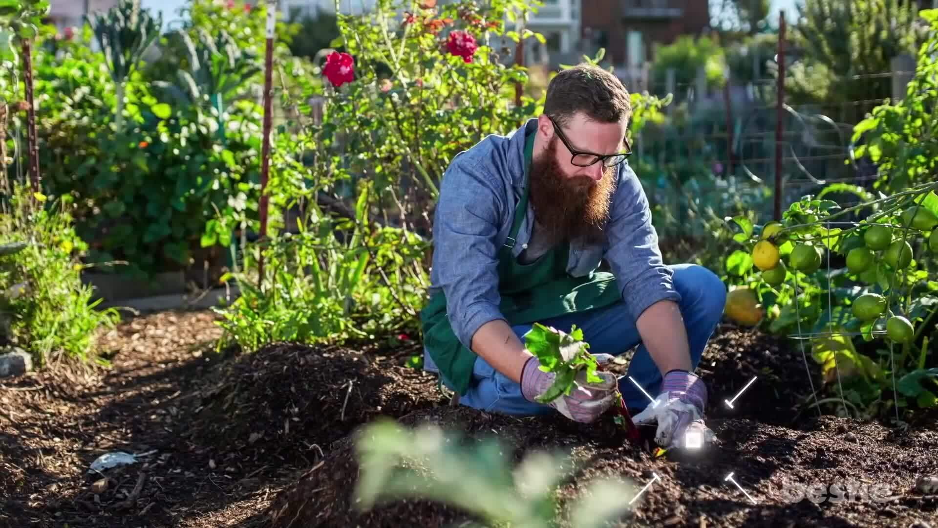 Lợi ích khi làm vườn