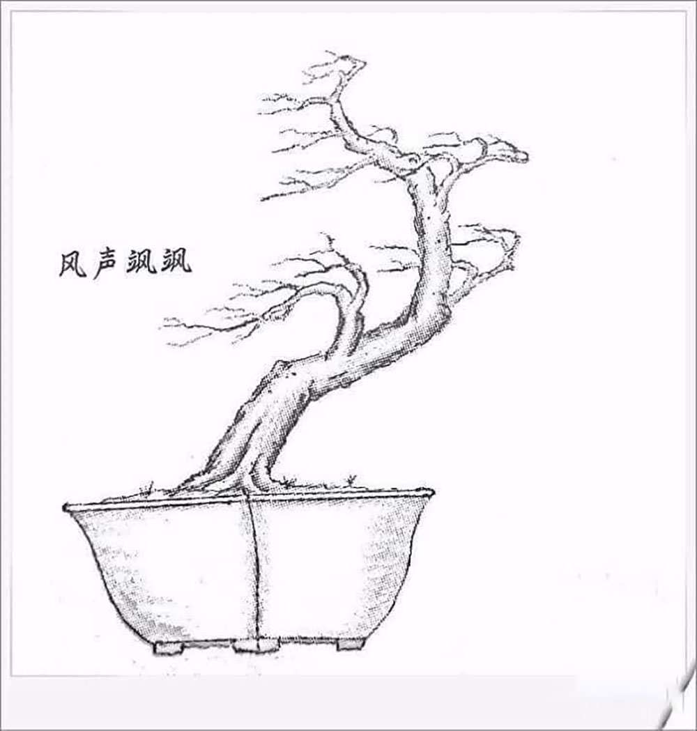 Bonsai thế xuy phong