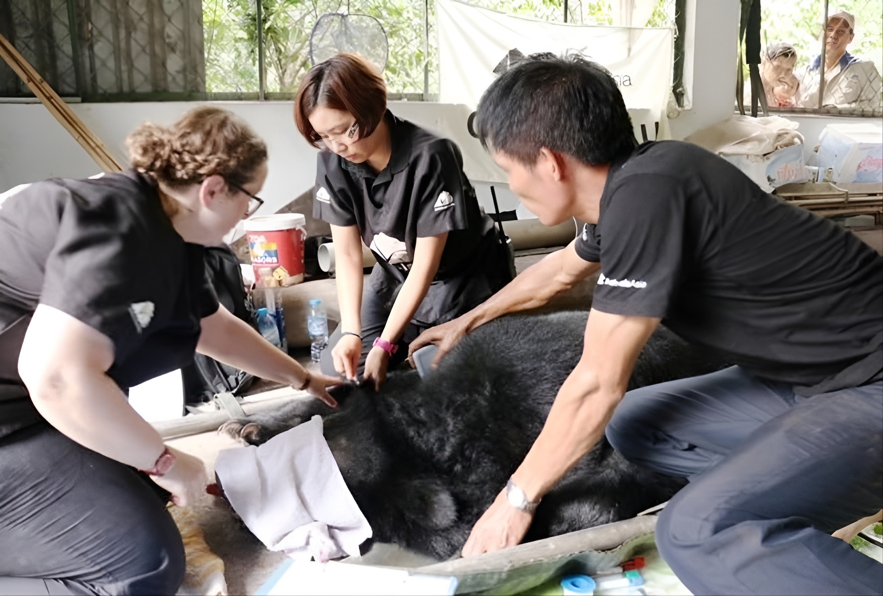 Nhân viên chăm sóc động vật ở một trạm cứu hộ