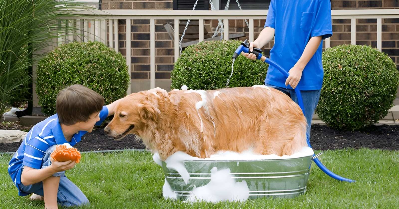​Giao cho con trách nhiệm tắm cho chó