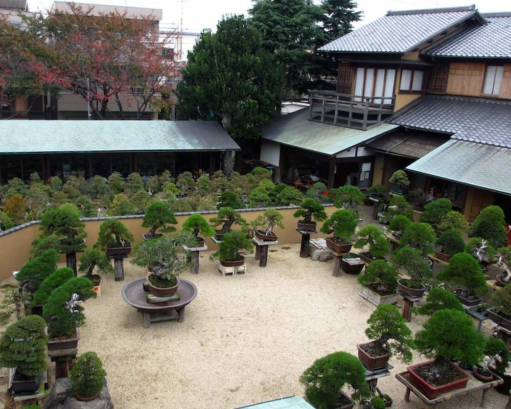 Khu vườn Bonsai Shunka-en