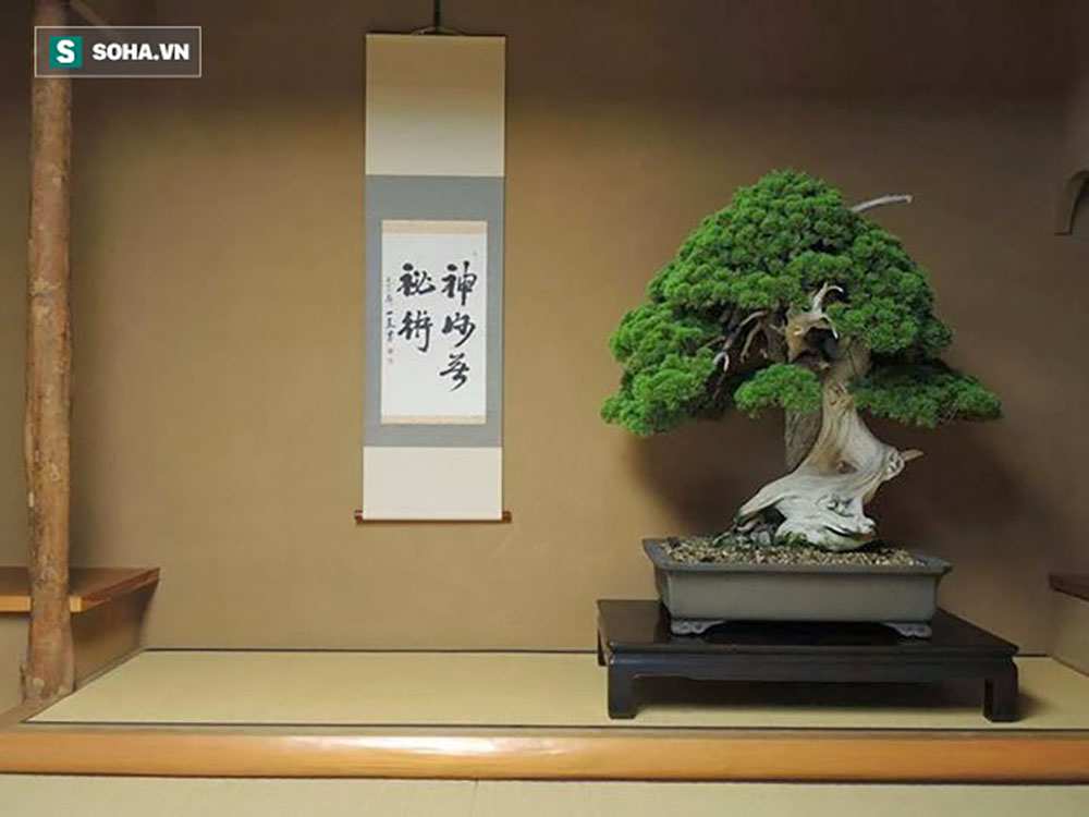 Khu vườn Bonsai Shunka-en