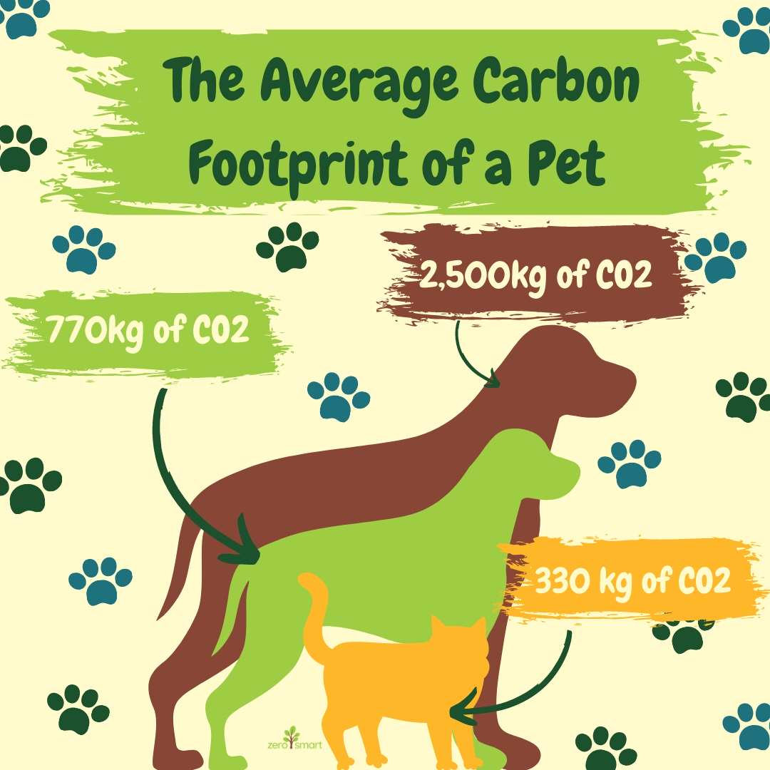 Lượng khí thải nhà kính trung bình của thú cưng