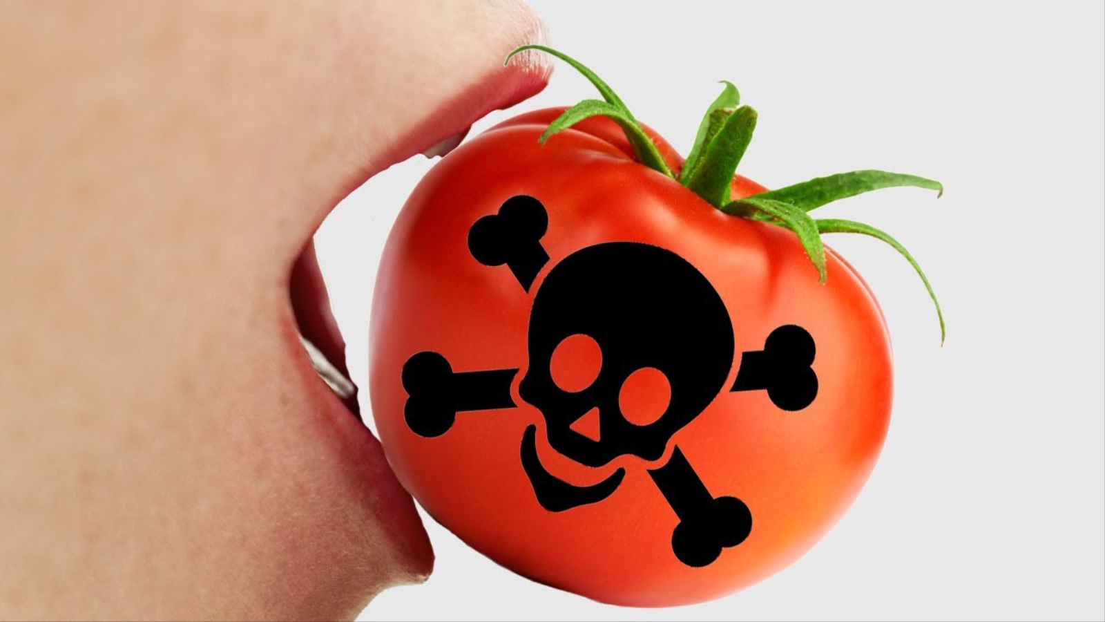Người dân Châu Âu nghĩ cà chua có độc