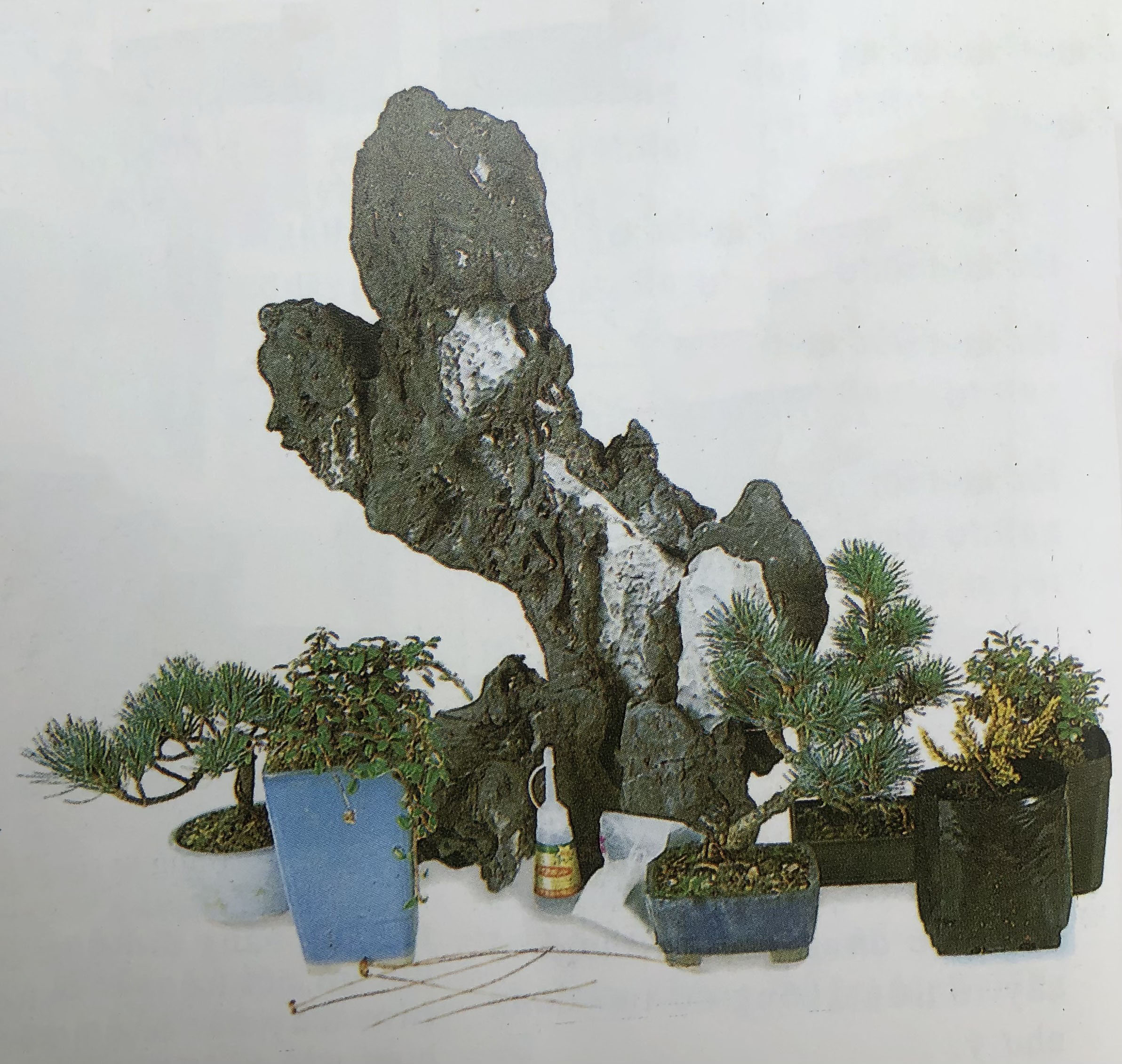 Những vật liệu để trồng cây trên đá