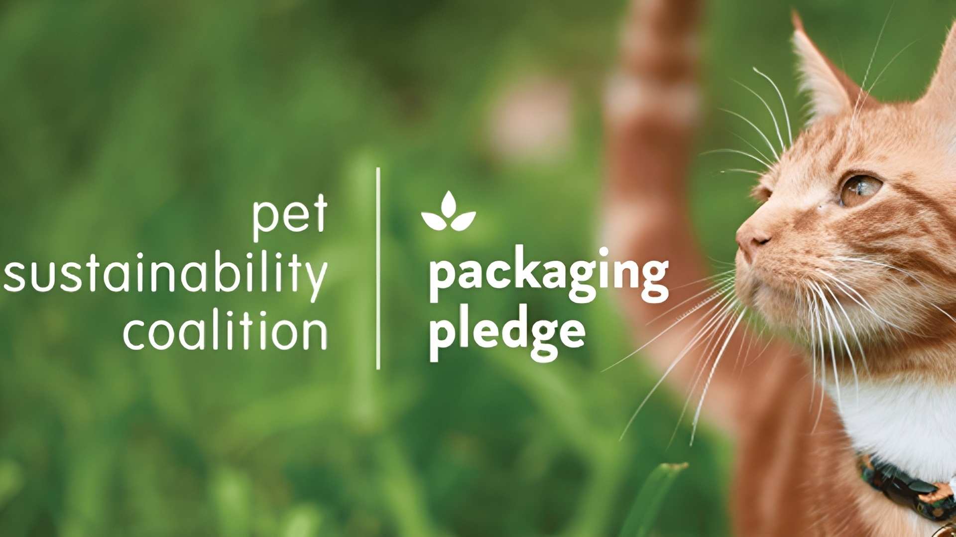 Chiến dịch “The Packaging Pledge” (Cam kết Bao bì)