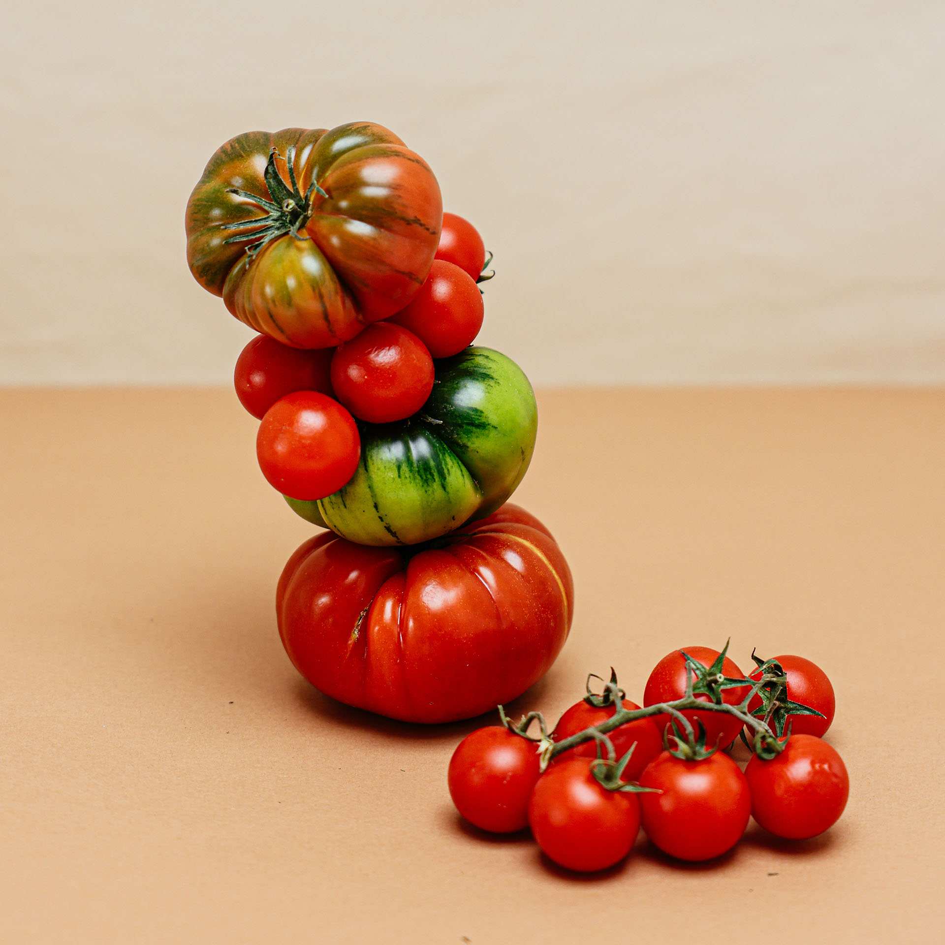 Quả cà chua có nhiều hình dạng