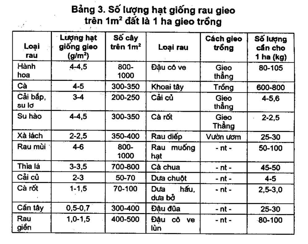 bảng 3